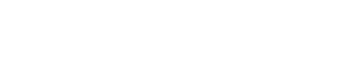 VGN logo